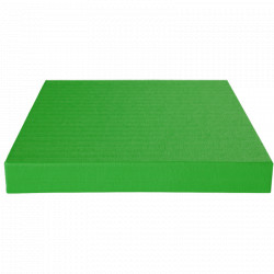 Judo szőnyeg 200x100x4 cm zöld IJF APPROVED Sportszer Agglorex