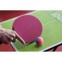 Pingpongütő Joola Colorato kék-rózsaszín