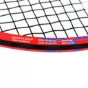 Teniszütő Head Radical 19
