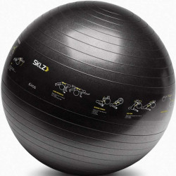 Gimnasztikai labda SKLZ Sport Performance 65 cm Fitness SKLZ