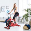 Szobakerékpár Schwinn Classic Cruiser