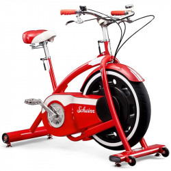 Szobakerékpár Schwinn Classic Cruiser Fitness Schwinn