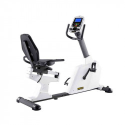 Háttámlás ergométer Robust Premium Luxor Fitness Robust