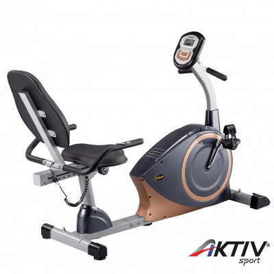 Háttámlás szobakerékpár Robust Evolution