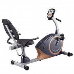 Háttámlás szobakerékpár Robust Evolution Fitness Robust