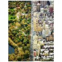 Puzzle 1500 db Ravensburger New York Central Park
