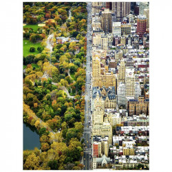Puzzle 1500 db Ravensburger New York Central Park