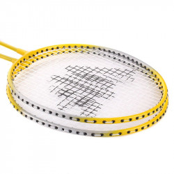 Tollaslabdaütő szett Victor Vicfun Hobby XA 2.2