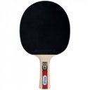 Ping-pong ütő Donic Legends 900 FSC