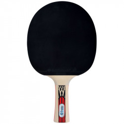 Ping-pong ütő Donic Legends 900 FSC