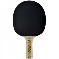 Ping-pong ütő Donic Legends 500 FSC