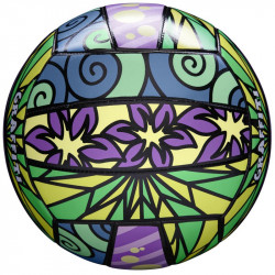 Strandröplabda Wilson Graffiti