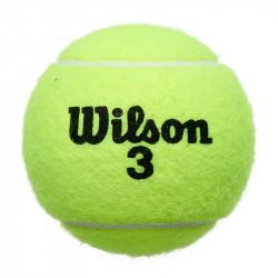 Teniszlabda Wilson Roland Garros 4 db