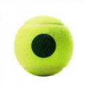 Teniszlabda Wilson Roland Garros Green Tournament 4 db