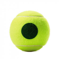 Teniszlabda Wilson Roland Garros Green Tournament 4 db