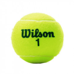 Teniszlabda Wilson Roland Garros Green Tournament 4 db