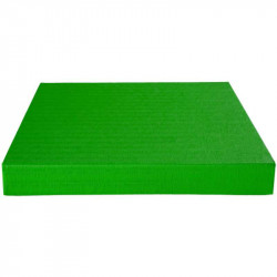 Judo szőnyeg 200x100x6 cm zöld IJF Approved Sportszer Agglorex