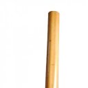 Bo Phoenix bambusz natúr 182 cm