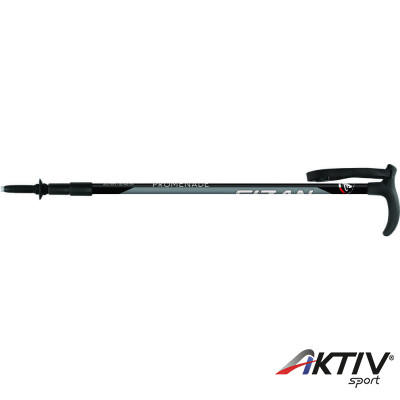 Fizan Promenade sétabot