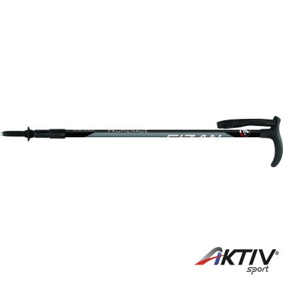 Fizan Promenade sétabot