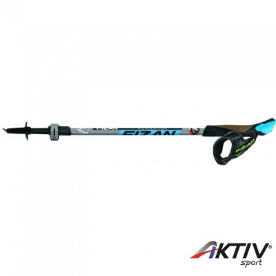 Fizan R-evolution nordic walking bot