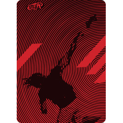 4 Fun Standard többfunkciós csősál Kite Red