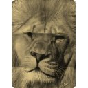 4 Fun Zodiac horoszkópos csősál Leo