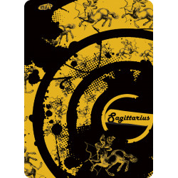 4 Fun Zodiac horoszkópos csősál Sagittarius