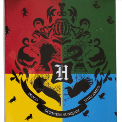 Gördeszka Harry Potter