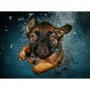 3D puzzle Prime 3D Ramona 500 darabos