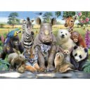 3D puzzle Prime 3D Állati osztálykép 500 darabos