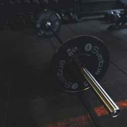 Súlytárcsa gumi Sveltus training 5 kg