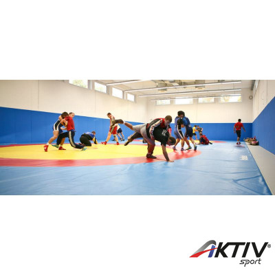 Birkózószőnyeg edző