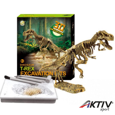 Dinoszaurusz régész készlet T-Rex