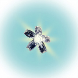 Dekoráció cseresznyefa LED  2 m