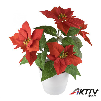 Mikulásvirág LED