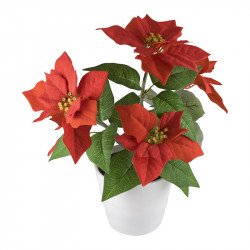 Mikulásvirág LED Karácsonyi dekoráció home by somogyi