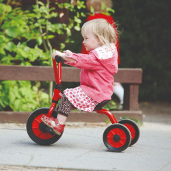 Mini tricikli alacsony