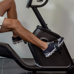 Háttámlás szobakerékpár Schwinn 590R