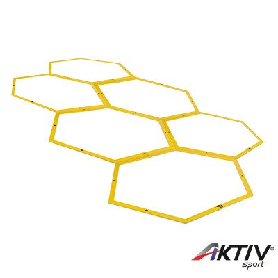 Hexa koordinációs létra Umbro