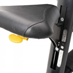 Bicepsz pad Diamond Pro GB-SEATEDSCOTT
