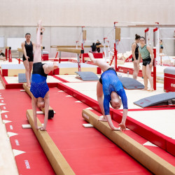 Talajgerenda Gymnova 500x10x20 cm