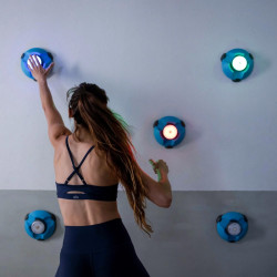 Reactive Intelligence Wall Pro Csomag