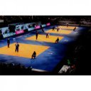 Judo szőnyeg, 200x100x4 cm, Banfer csúszásgátló aljjal, zöld, 11-1200