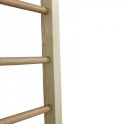 Létra Aktivsport bordásfalra akasztható 200x40 cm
