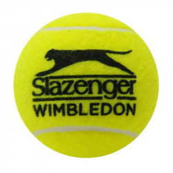 Teniszlabda Slazenger/4