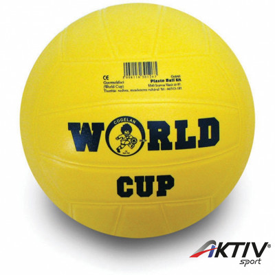 Foci World Cup