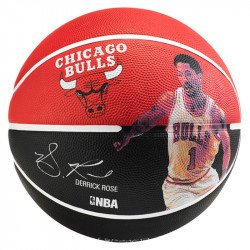 Kosárlabda Spalding NBA Derrick Rose méret: 7 Sportszer Spalding