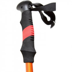 Carbon túrabot