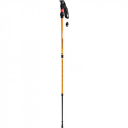 Carbon túrabot